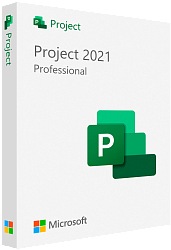 Microsoft Project 2021 Professional