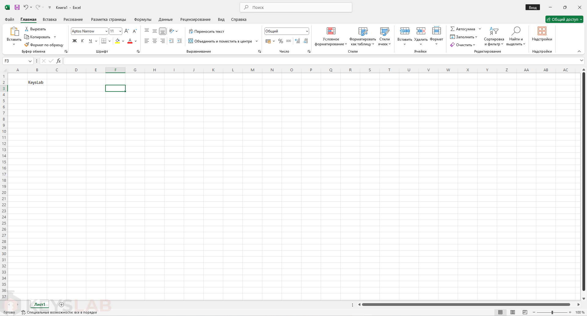 Excel в Office LTSC 2024 Professional Plus