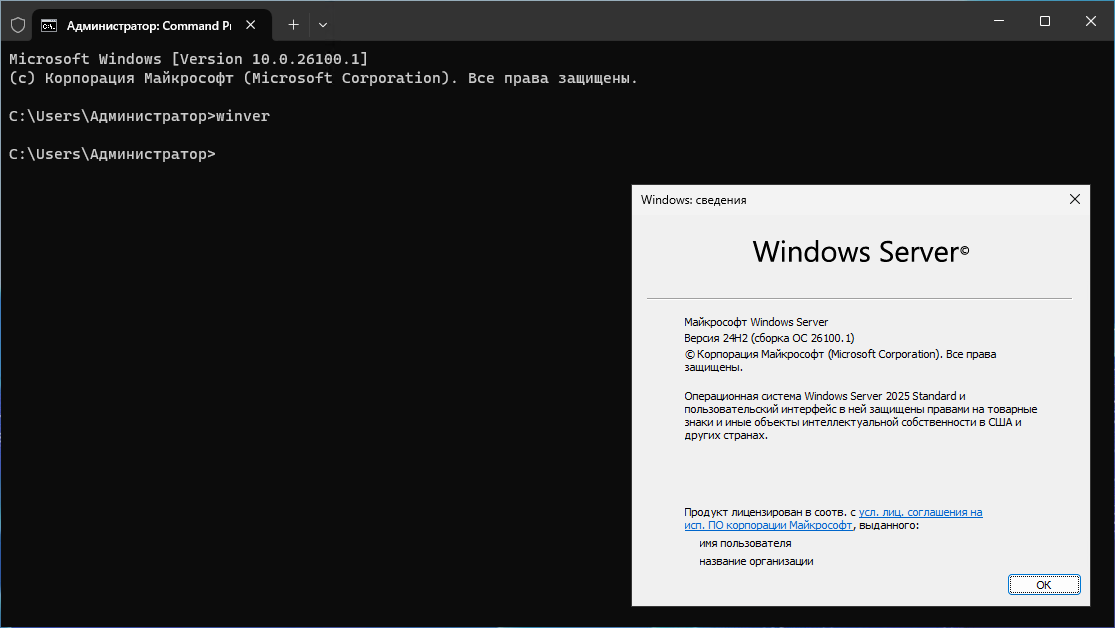 Окно winver: Windows Server 2025 Standard, версия 24H2 Окно winver: Windows Server 2025 Standard, версия 24H2