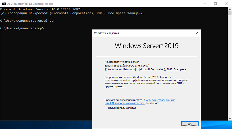 Окно winver: Windows Server 2019 Standard, сборка 17763