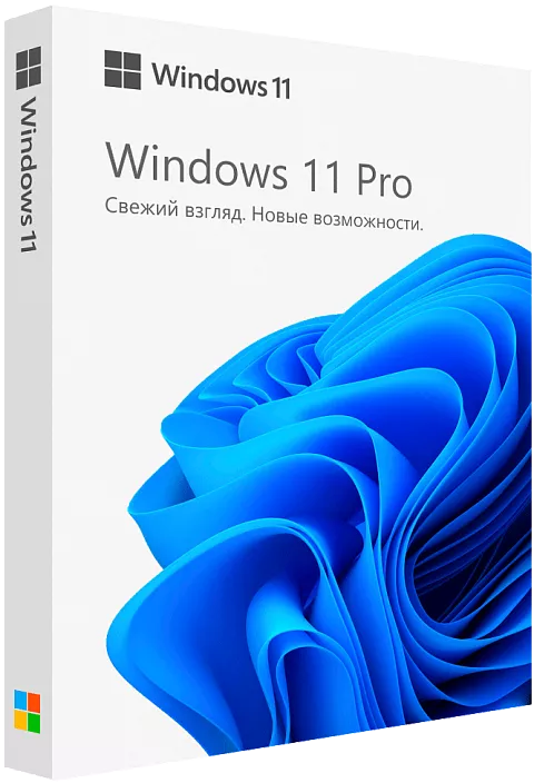 Microsoft Windows 11 Professional